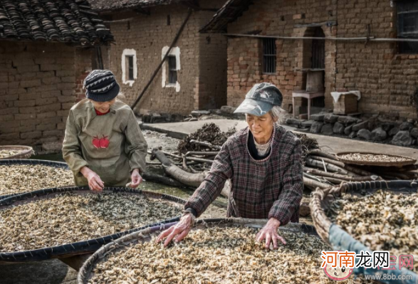 古人|古人是怎么让食物长久保存的 古代保存食物的几种方法