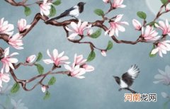 土命的人开公司取什么名字好 吉祥的企业名字