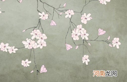 小雪出生的女孩叫什么好听 节气当天出生孩子福禄深厚