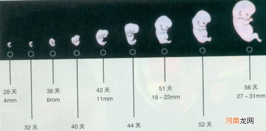 孕妇如何根据早期B超计算孕周？3个方法很简单，孕妇一学就会