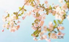 2021牛年小女孩洋气的乳名 女宝宝超可爱的小名来了