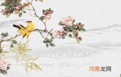 注册建筑公司用什么名字好呢 企业吉祥的名字