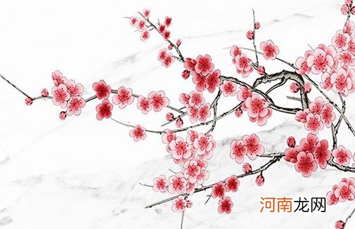 属马不宜配什么属相 属马的姻缘在什么地方