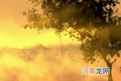 时柱伤官配印女人 聪明清高不甘人下