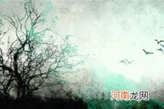 女命八字无伤官 配偶容易拈花惹草