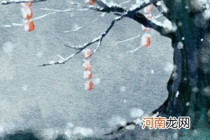 本命年虎年要注意什么 属虎人注意事项