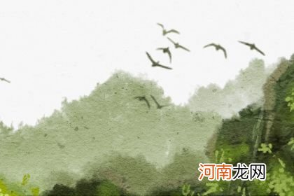 鸡妈妈生虎宝宝几月比较好 农历正月五月和八月