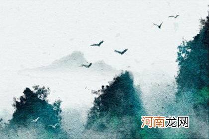 狗妈妈生虎宝宝合不合 命中六和锦上添花