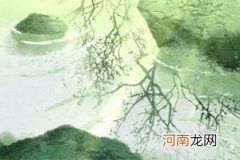 猴妈妈生虎宝宝相冲吗 调节风水镇宅保平安