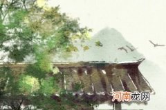 五行缺土的男人的特点 须安定多静心