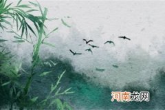 哪些八字的女人桃花旺 食伤比劫星运行