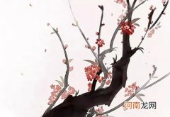 分手后会痛苦的生肖 无法接受分手的生肖