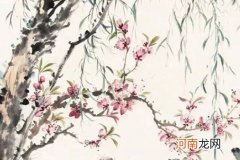 2022年属牛桃花运 桃花运好增加夫妻感情