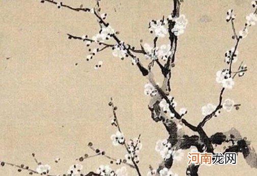 74年属虎2022年有桃花运吗 增加异性缘财运良好