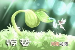 惊蛰祭白老虎怎样做 黄纸画虎避灾难