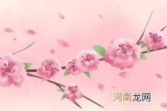 女人伤官配印好吗 聪明清高桃花好