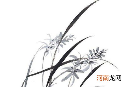 2022年4月生肖鸡犯烂桃花如何转运 孽缘波折感情破裂