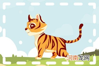 2022年属虎宝宝五行什么命 属于水虎之命