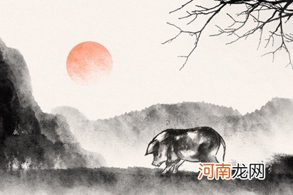 2022年4月生肖猪健康运怎么样 小病小痛流年不利