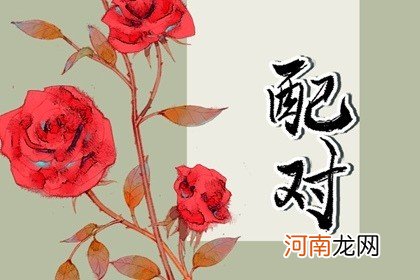 路旁土和路旁土命相配吗 家庭温暖单纯直接