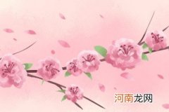 女生红艳煞桃花的容貌 浪漫多情感情易多变