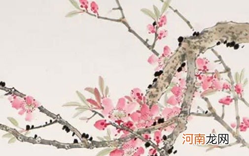 86年属虎2022年桃花运 生活低迷增强异性缘