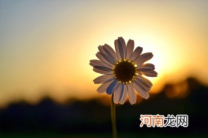 2022年4月24日新生儿五行属什么 左右逢源利官近贵