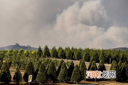 属虎本命年戴貔貅手链好不好 有助于提升财运运气