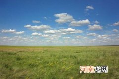 生肖狗2022年学业运势详解 适当制定学习计划