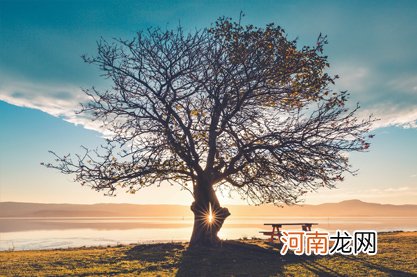 2022年男孩出生的最佳时辰 申时出生日元合月德一生积福无数