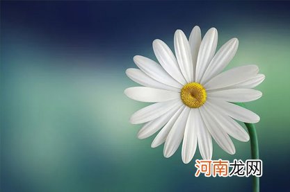 2022年5月生肖龙健康上要注意什么 合理饮食当心凶星