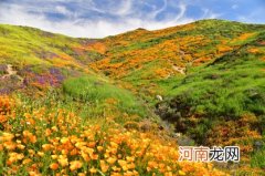 谷雨是24节气中的第几个节气 位居第六春季最后一个