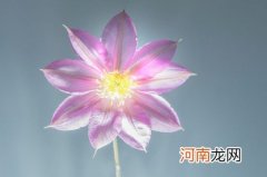 买房子要什么方位好 东边吉祥生旺之气