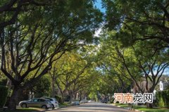 2022年5月属兔人学业幸运色是什么 沾沾自喜不进则退