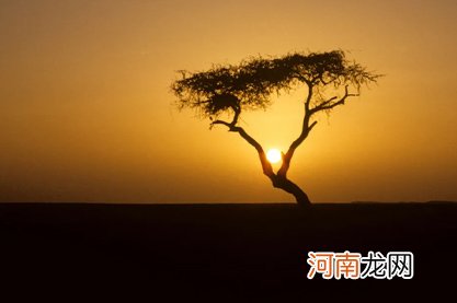 开业择吉 2022年农历四月二十九是老黄历开业吉日吗