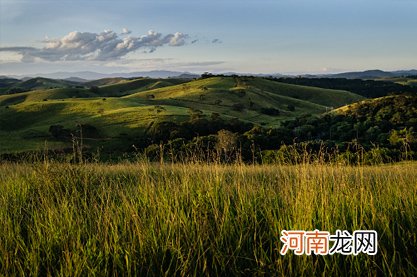 88年属龙一生财运 运势喜人生活富足