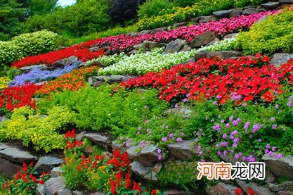 2022年走桃花运的属相有哪些?吉星高照遇见真爱