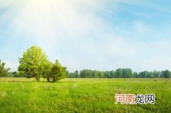 属鼠人2022年6月发财方位在哪 怎么提升财运