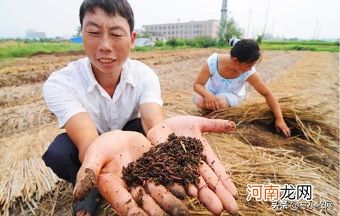 致富小项目 新型致富项目有哪些