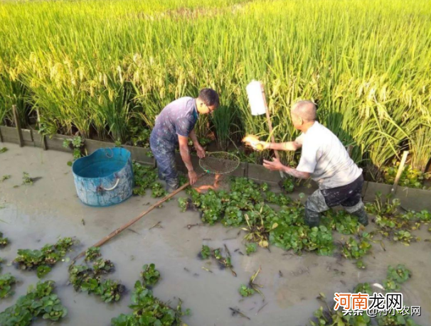 致富小项目 新型致富项目有哪些