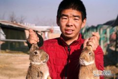 养一百只兔子一年利润 养一千只兔子一年利润
