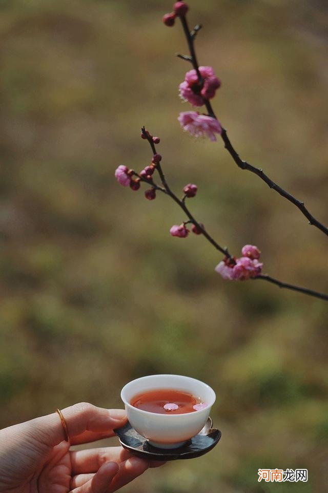 紫色最美的花的图片 最美的花的图片