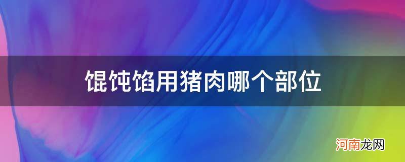 馄饨馅用猪肉哪个部位好 馄饨馅用猪肉哪个部位