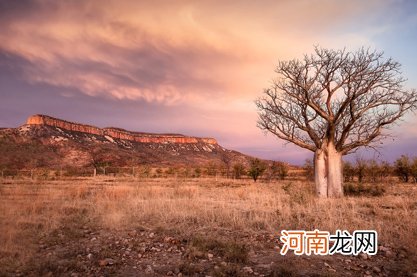 婚姻线分叉又合在一起是什么意思 婚姻容易遇到挫折