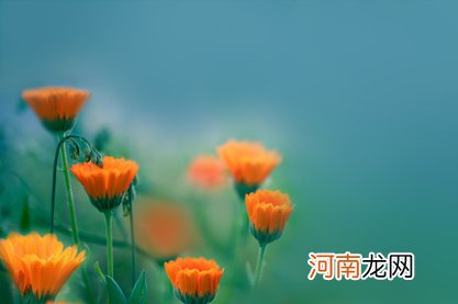 2022年6月20日是不是黄道吉日 这天最好的时辰是几点