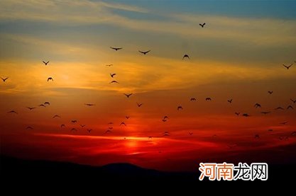 属鼠的人2022年运势和财运 财富收入正财为主偏财需谨慎