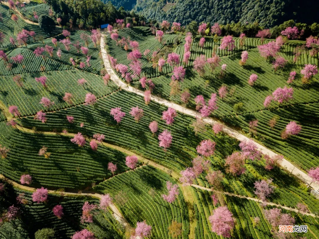 车水马龙回忆那么凶 这世间车水马龙