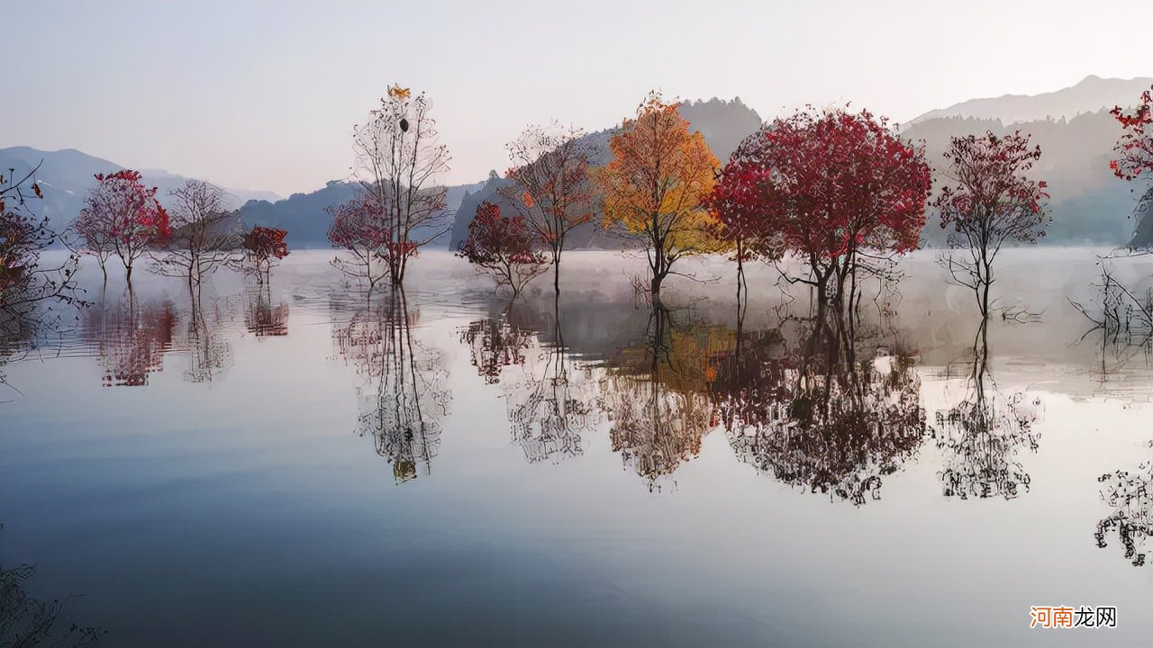 车水马龙回忆那么凶 这世间车水马龙