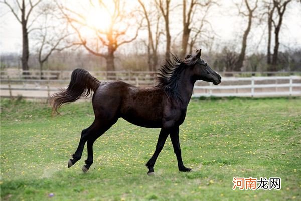 情侣网名一男一女甜蜜，小情侣专属的微信情侣名字