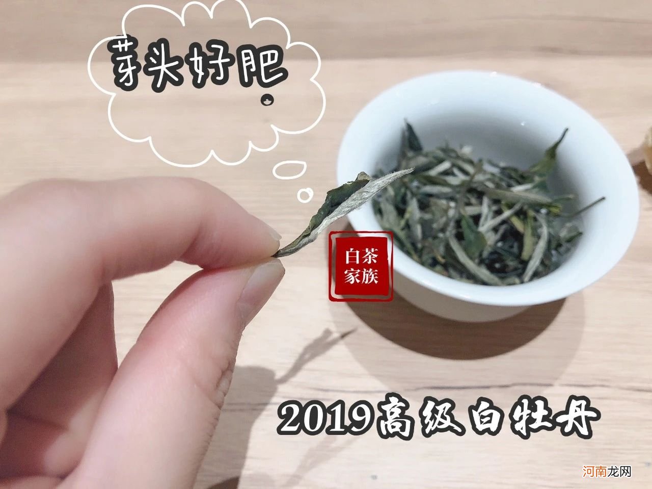 中国白茶品牌排行榜前十名 中国十大白茶排名